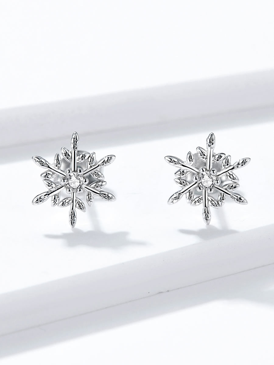 Cercei din Argint Frosted Stardust