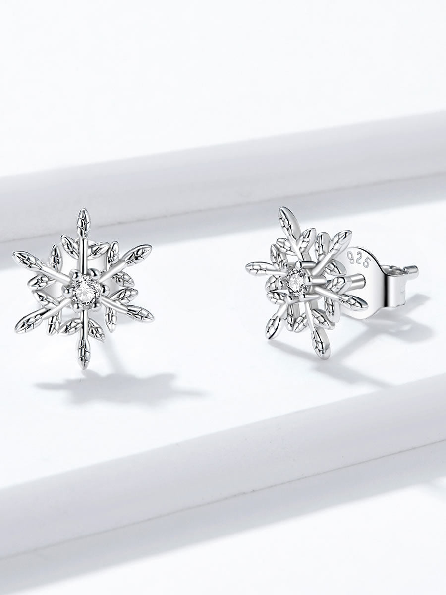 Cercei din Argint Frosted Stardust