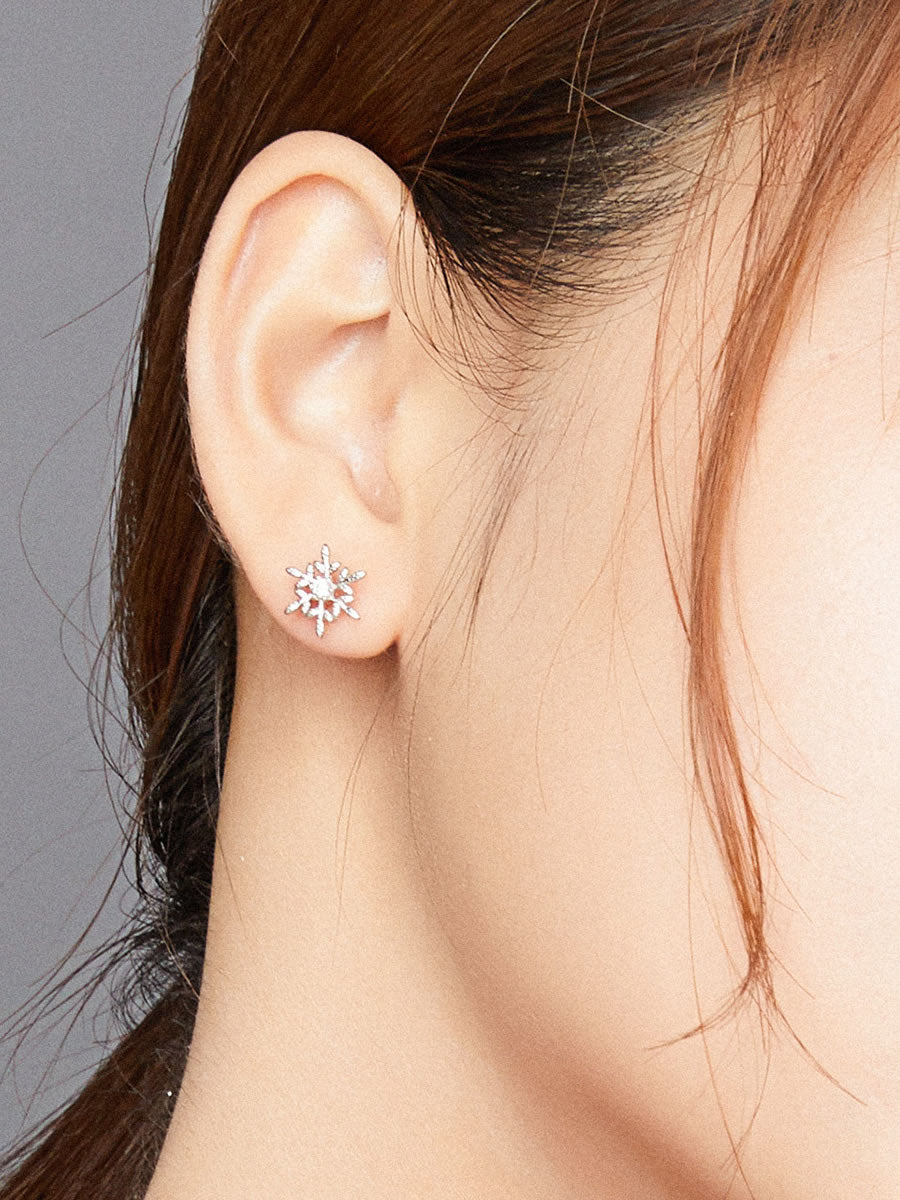 Cercei din Argint Frosted Stardust