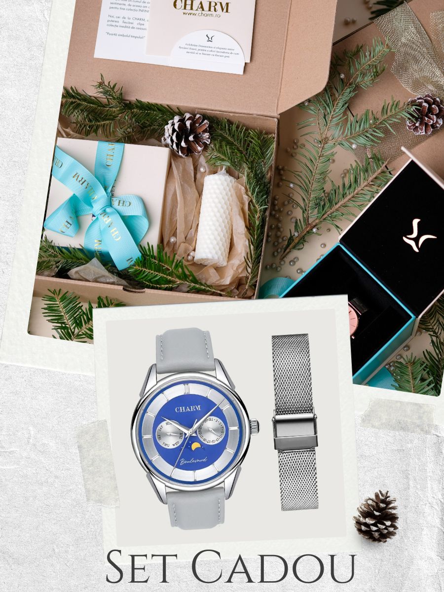 Set Unisex: Ceas Boulevard Aviatorilor Grey + Curea din otel inoxidabil Argintie